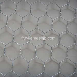 Fil hexagonal galvanisé pour faire des couvertures